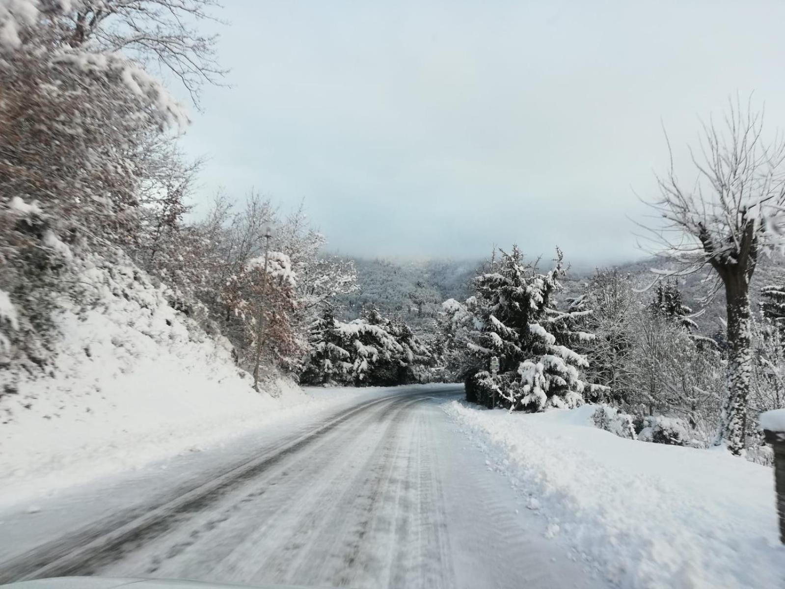 Il Rifugio Di Vale Villa Cetica Dış mekan fotoğraf