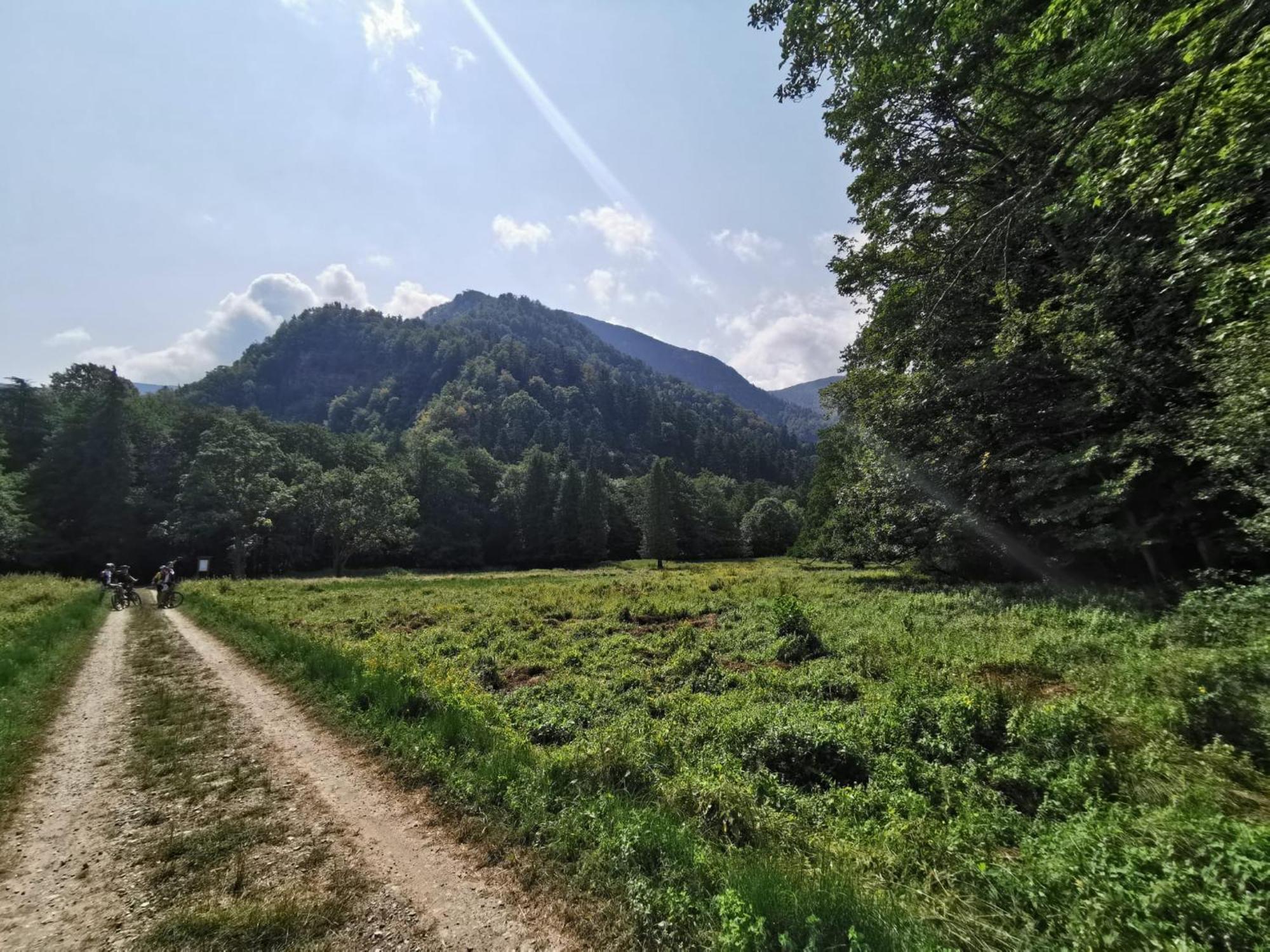 Il Rifugio Di Vale Villa Cetica Dış mekan fotoğraf